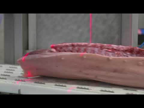 Frontmatec Robotic Chine Bone Saw