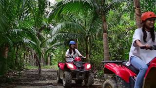 石垣島ドリーム観光