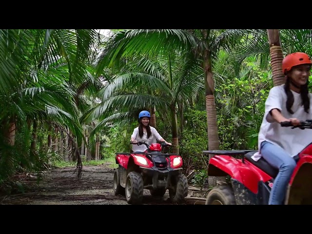 石垣島ドリーム観光