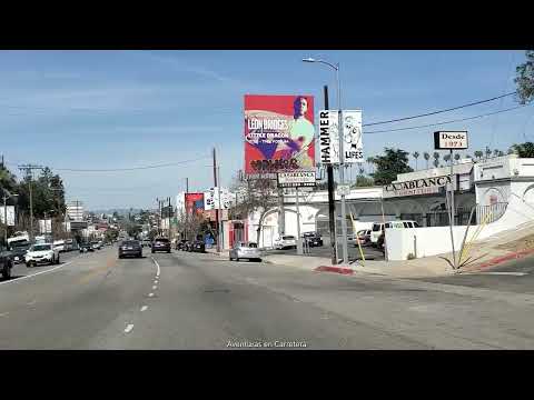 Sunset Blvd, Los Angeles CA  Series