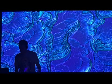 Mike Wallis + Psybernautics Visuals @ The Black Box 2/24/23