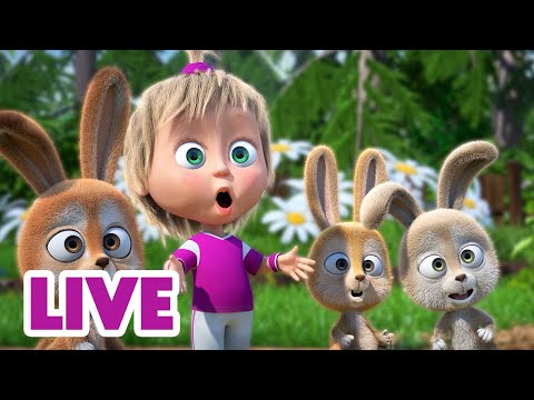 🔴 LIVE STREAM 🎬 Masha and the Bear 🐷📸 Catch the Moment! ⚽ 🥅