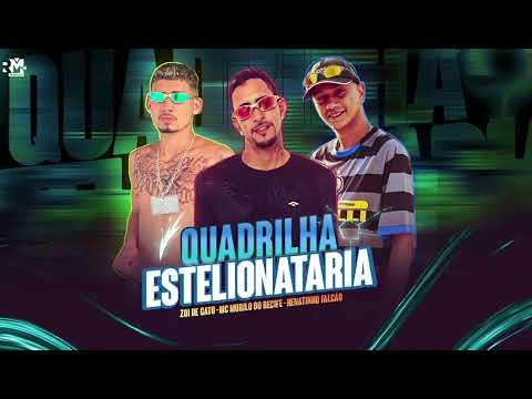 QUADRILHA ESTELIONATARIA - MC MURILO DO RECIFE, MC ZOI DE GATO, RENATINHO FALCÃO - (BNB NO BEAT)