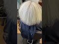 Silver Fox hairstyle idea