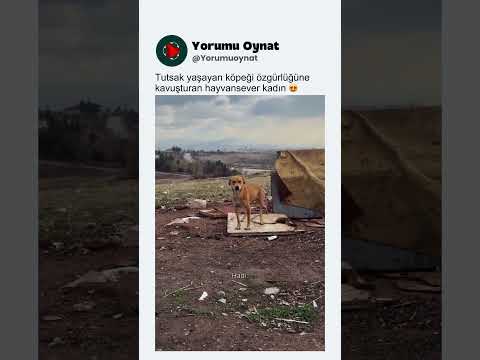 Tutsak yaşayan köpeği özgürlüğüne kavuşturan hayvansever kadın 😍