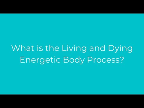 Play Video Youtube Video