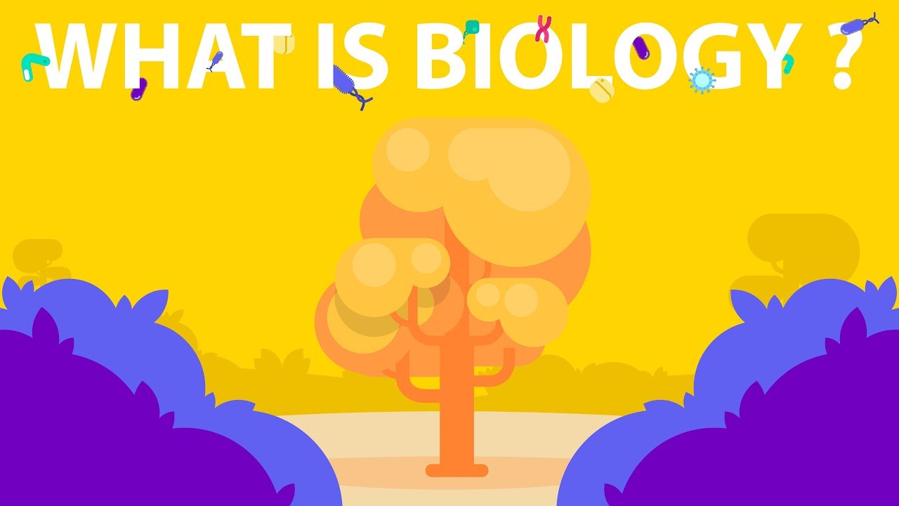 Putar video Apa Itu Biologi Contohnya sekarang Apa Itu Biologi Contohnya