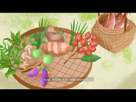 Video: What you need to know about wild food | SIANI