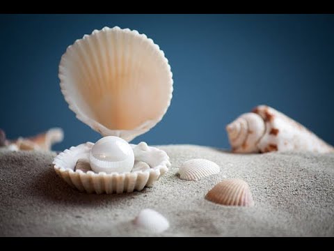 15 Affordable Gem Fragrances You Must Try (2023)