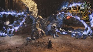 [🔴LIVE]寝る前に少し　イベントクエスト、アーティア等【MHWilds:モンスターハンターワイルズ】