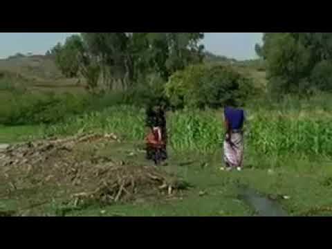 New Oromo music Sa'ad Awwal