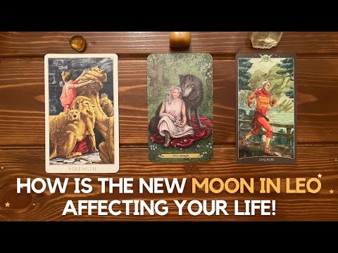How Is The New MOON IN LEO affecting your life! [Long-term effect!!] ✨🌔 ♌️✨ | Pick a card