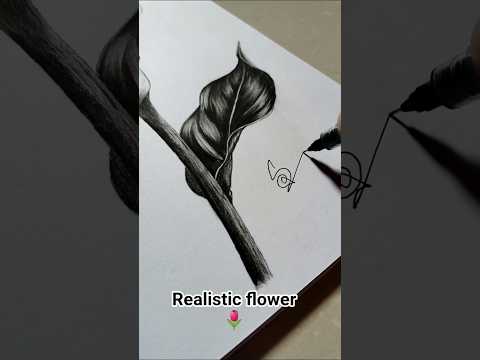Hyper realistic drawing of a flower 🌷||charcoal sketch #drawing #sketch #shorts#flower