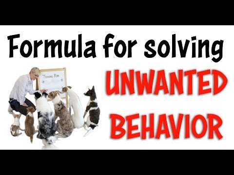 STOP UNWANTED behaviors with BACK UP
