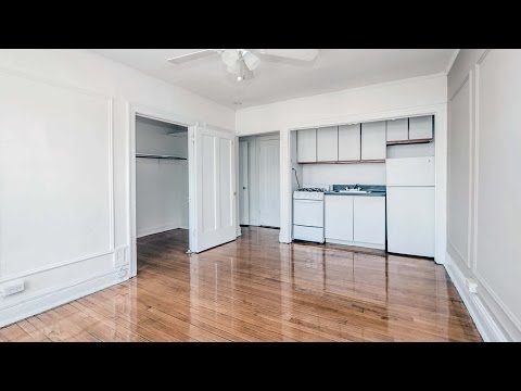 Sunny Lakeview East studios under $900 on a great block