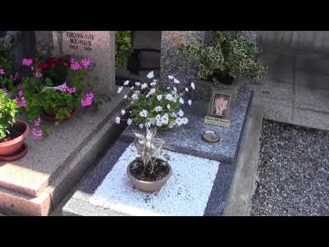 Tomba dell'attrice Lilli Carati (Ileana Caravati 1956 - 2014)