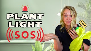 The Silent Signals Your Plant Needs More Light! (Don’t Miss Them!)