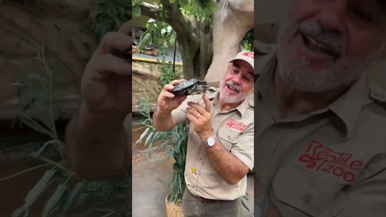 The Most Unbelievable Animal Moments Ever Caught on Camera