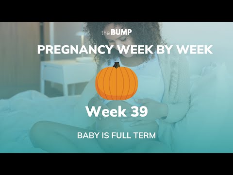 This week in Babyland (Week 39)