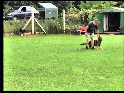 Dixi z Medvedej doliny