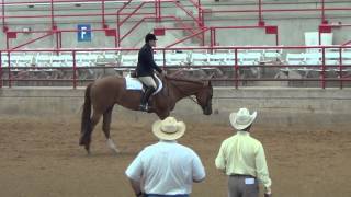 Poco Vista/ Spellbound by Magic