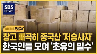창고 빼곡히 중국산 '저승사자'..한국인들 모여 '초유의 밀수' (에디터픽) / SBS