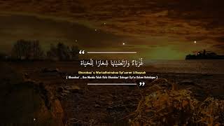 Download lagu story wa viral sholawat Hadroh 30 detik  terbaru || status wa sholawat 30 detik terbaru mp3