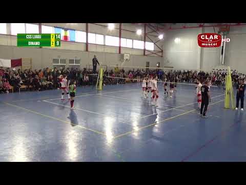 CSS Lugoj - Dinamo Bucuresti