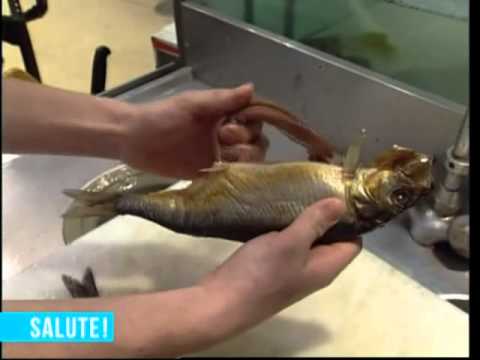 Sintomi di helminths a un gattino Quali farmaci per parassiti esistono