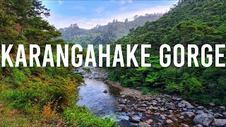 Trail in a historic gold mining site 🇳🇿 New Zealand