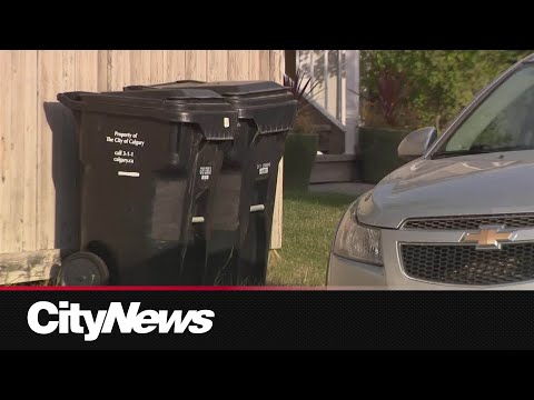 Simplifying Longmeadows Recycling Collection Schedule