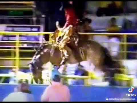 OSMAR ALVES DE OLIVEIRA X PANTER - RODEIO DE NOVA GRANADA - SP