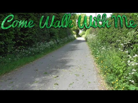Bryn Gwyn Lane Walk | Connah's Quay Walks