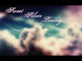 Kate Voegele/Sweet Silver Lining/Lyrics