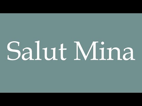How to Pronounce ''Salut Mina'' (Hi Mina) Correctly in French