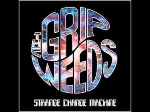 The Grip Weeds - The Law