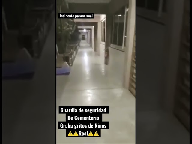 Vídeo relacionado con Cementerio Púrpura Escena Espeluznante Nocturna Sudadera