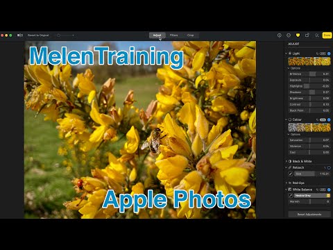 How to use Apple Photos on a Mac