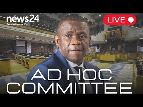 WATCH LIVE | Ad Hoc Committee continues public hearings with four witnesses, two anonymous