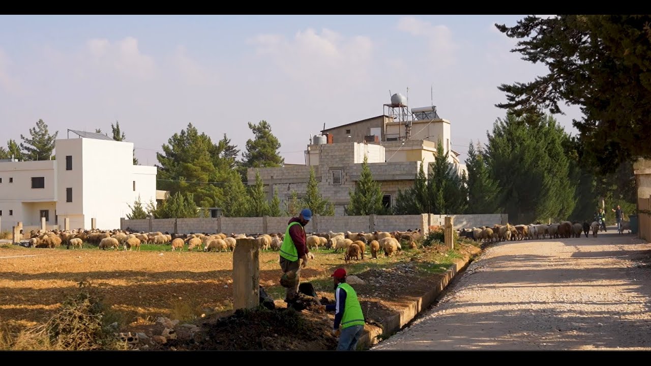 Restoring Infrastructure and Livelihoods for Farmers in the Bekaa