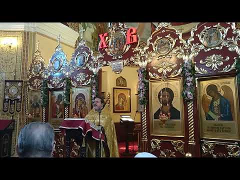Слово в Неделю о самаряныне