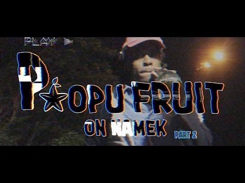 Ant40oz. - Paopu Fruit on Namek Part 2  (Official Video)