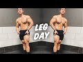 My Current LEG WORKOUT - AESTHETIC and STRONG - My New WEBSITE