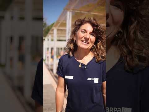 frame del video: i monitoraggi delle acque di b..., visibile all'interno del canale youtube di arpa fvg