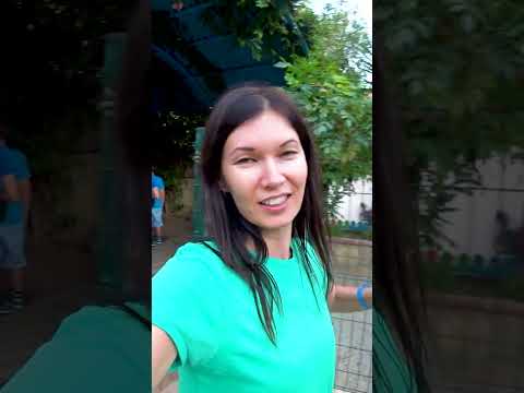 Videos del Club Big Blue Suit 4★ en Alanya, Turquía
Ver Más
Ver
Precios
12
Cerrar
Consulta por Whatsapp 🇦🇷
Booking
Tripadvisor
Expedia
Priceline
Trip
Skyscanner
Kayak
Hoteles
Destinia
Trivago
Turismocity
Tui
