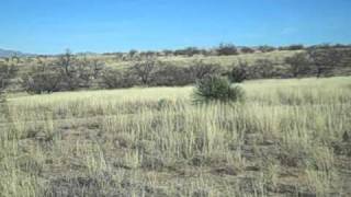 preview picture of video 'Best Arizona Land deals in acreage Red Hawk at j6 Ranch Lot 178.AVI'