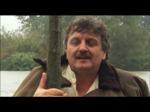 Selo Gori a Baba se Češlja - Kad Nužda Natera u Moravu