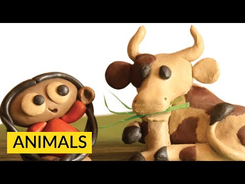 Maitreya Bapat Storyweaver Children story hindi voice over 