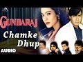 Gundaraj : Chamke Dhup Full Audio Song | Ajay Devgan, Kajol
