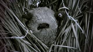 Video Cermaque - Klícka (official music video)